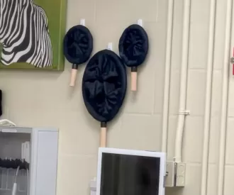 Conservation Station Hidden Mickey