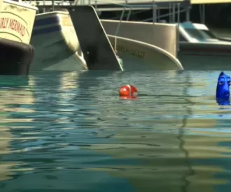Finding Nemo 