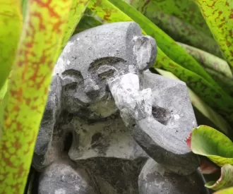 Hidden Menehune