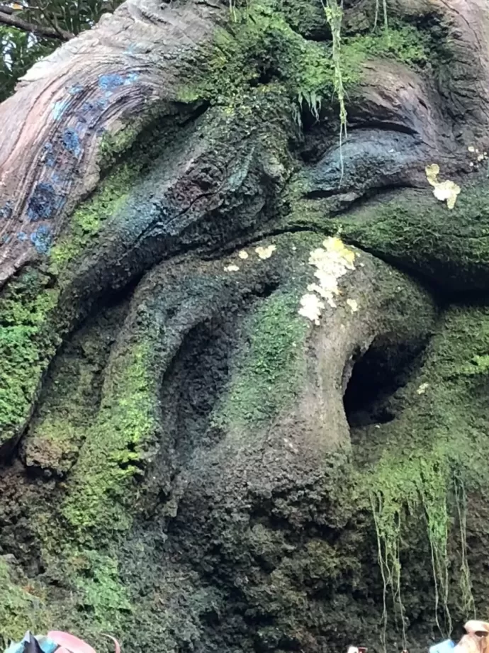 Detail