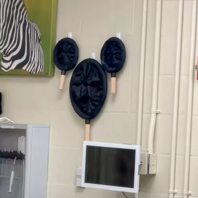 Conservation Station Hidden Mickey