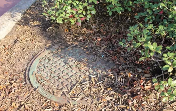 Epcot Hidden Mickey