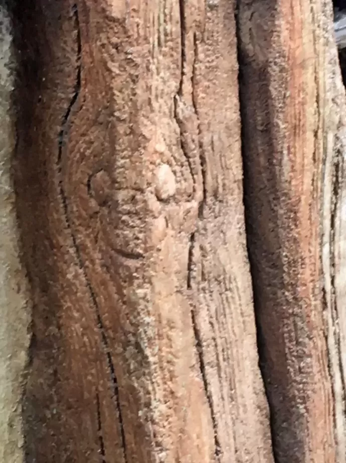 Detail